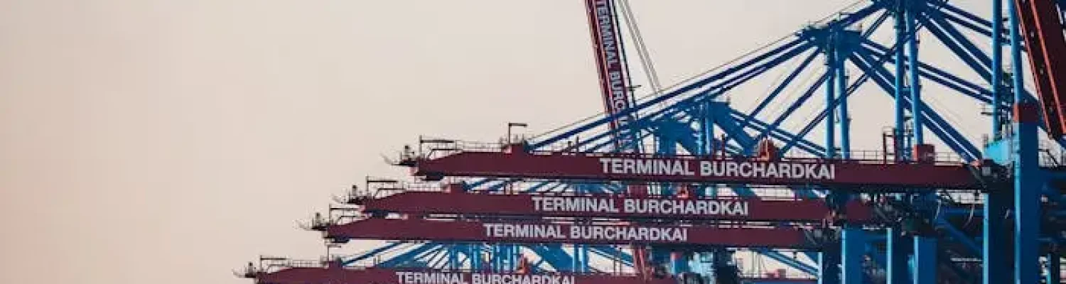 Cargo ships and cranes at Hamburg Burchardkai Terminal during day.