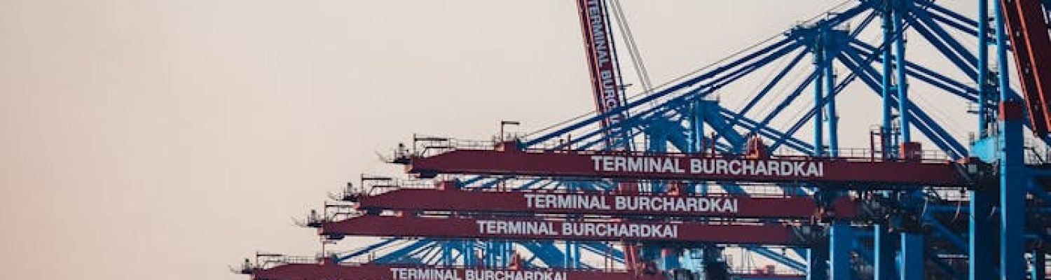 Cargo ships and cranes at Hamburg Burchardkai Terminal during day.
